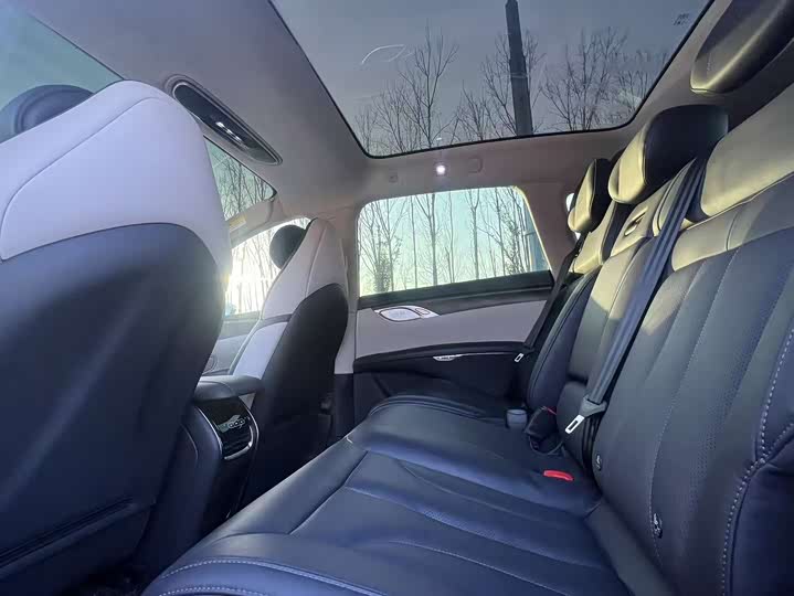 IM motors LS7 2023 2023款 100kWh Lux后驱版