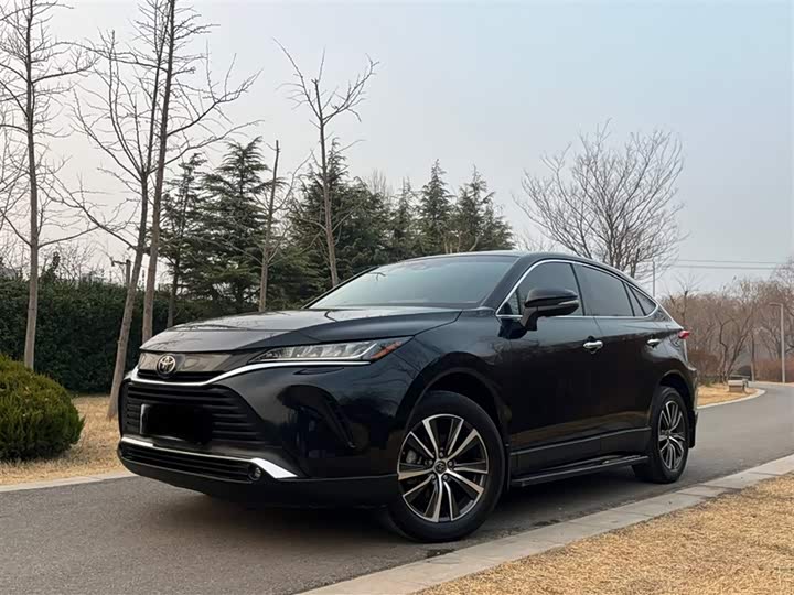 Toyota Harrier 2022 2022款 2.0L CVT两驱豪华版