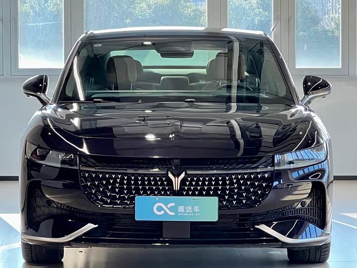 Voyah Passion 2024 2024款 PHEV 四驱超长续航旗舰版