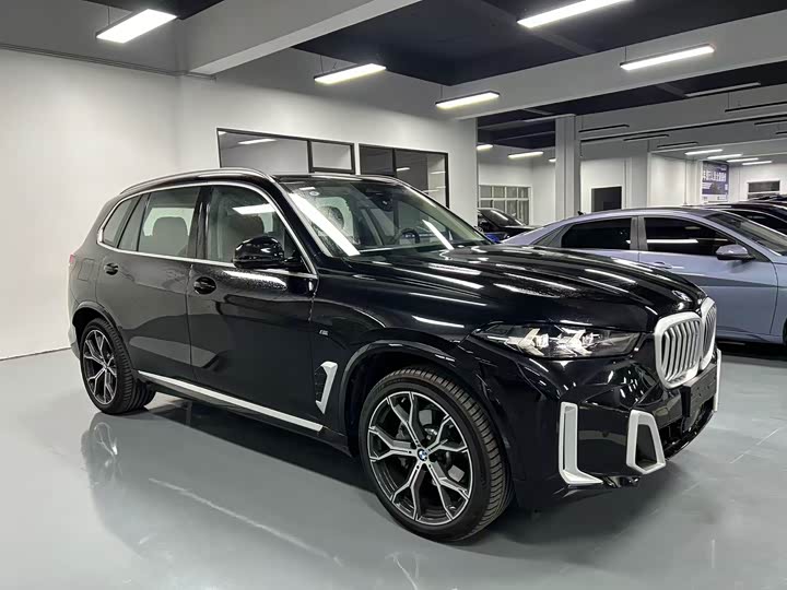 BMW X5 2023 2023款 xDrive 30Li 尊享型M运动套装