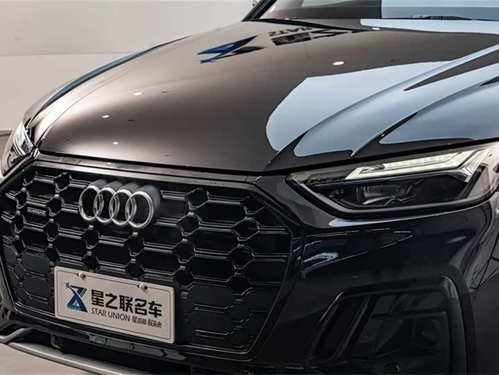 Audi Q5L 2025 2025款 45周年典藏版 40 TFSI 豪华动感型