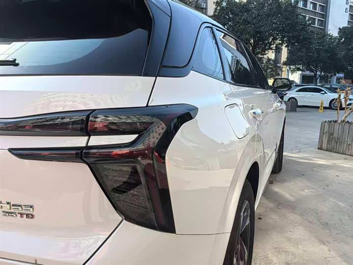 Hongqi HS3 2024 2024款 1.5T 善为版