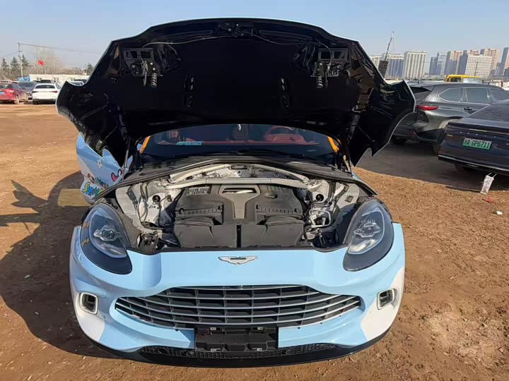 Aston Martin DBX 2022 2022款 4.0T V8