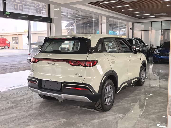 BYD Yuan Up 2025 2025款 智驾版 401KM 活力版