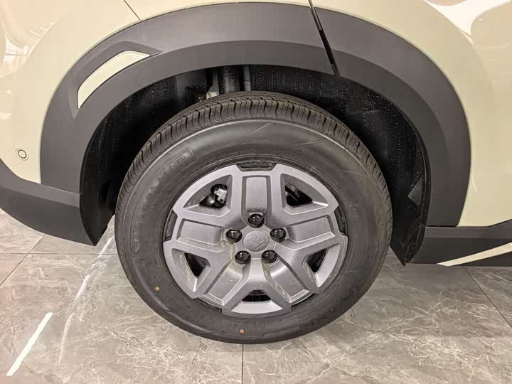 BYD Yuan Up 2025 2025款 智驾版 401KM 活力版