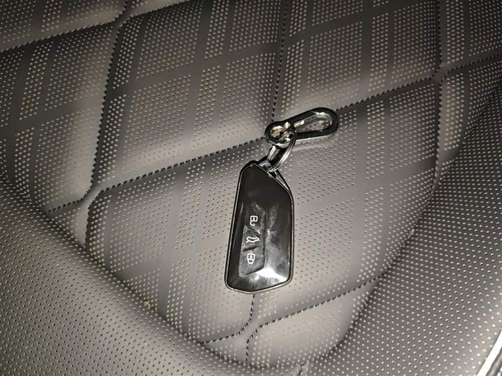 Volkswagen Teramont Pro 2024 2024款 380TSI 四驱龙祥版