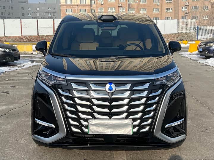 Denza D9 2025 2025款 DM-i 智驾版 1020 四驱尊贵型