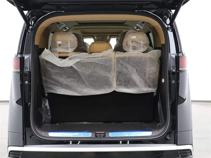 Denza D9 2025 2025款 DM-i 智驾版 1100 豪华型