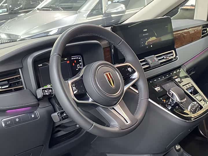 Hongqi HQ9 Hybrid 2024 2024款 2.0T 四驱豪华版