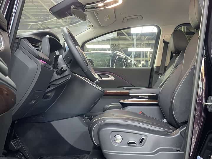 Hongqi HQ9 Hybrid 2024 2024款 2.0T 四驱豪华版