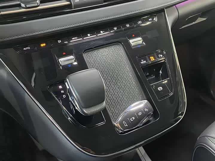 Hongqi HQ9 Hybrid 2024 2024款 2.0T 四驱豪华版