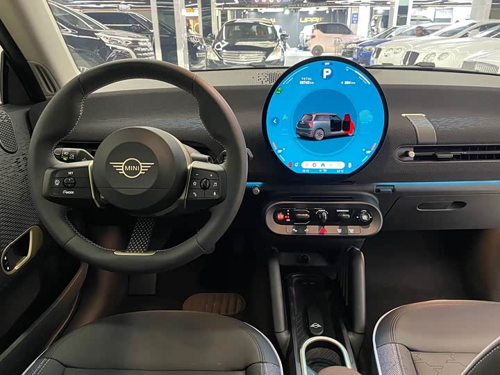 Mini Cooper 2024 2024款 452km COOPER SE 艺术家