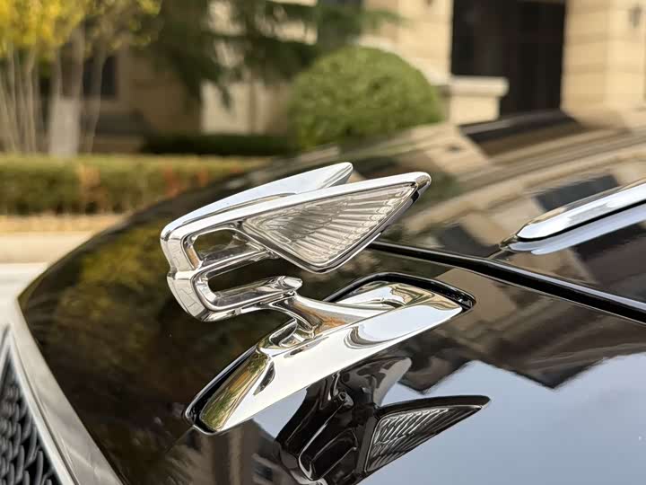 Bentley Flying Spur 2024 2024款 4.0T V8 标准版