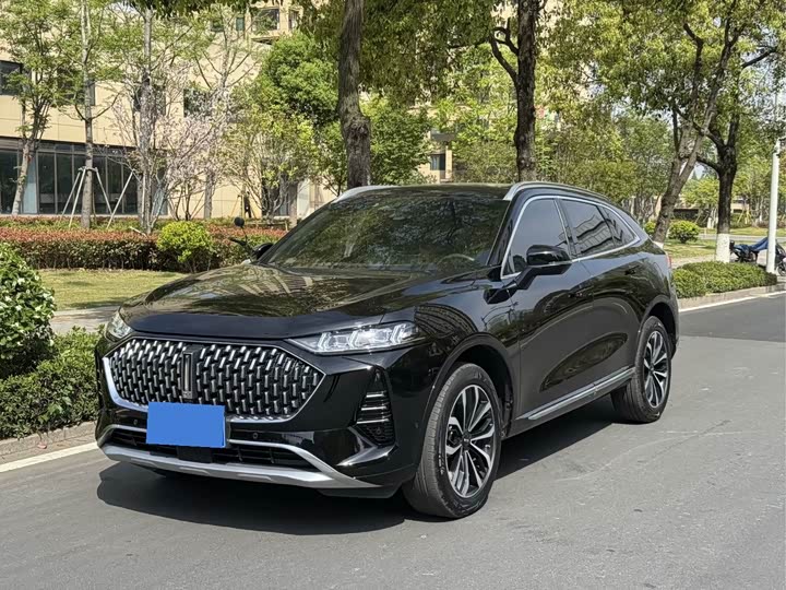 Wey Mocha 2021 2021款 2.0T 四驱特醇版