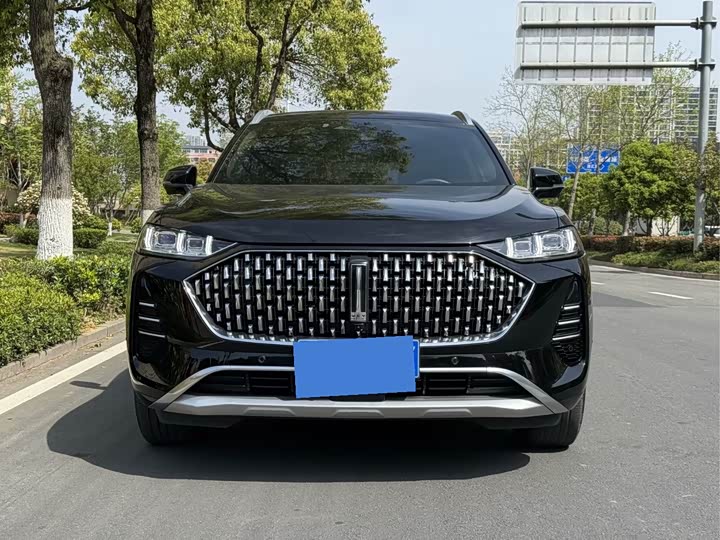 Wey Mocha 2021 2021款 2.0T 四驱特醇版