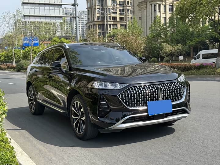 Wey Mocha 2021 2021款 2.0T 四驱特醇版