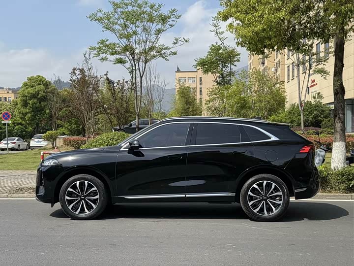 Wey Mocha 2021 2021款 2.0T 四驱特醇版