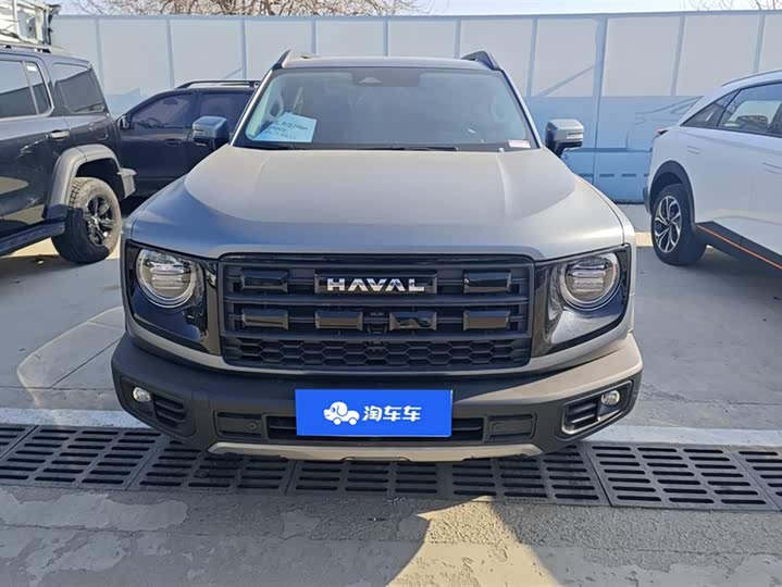 Haval Dargo 2024 2024款 2.0T DCT中华田园犬版
