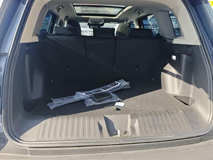 Haval Dargo 2024 2024款 2.0T DCT中华田园犬版