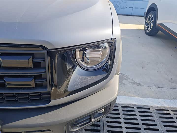 Haval Dargo 2024 2024款 2.0T DCT中华田园犬版