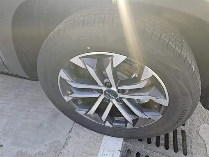 Haval Dargo 2024 2024款 2.0T DCT中华田园犬版