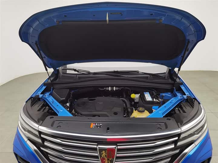 Roewe RX5 Max 2019 2019款 300TGI 自动智能座舱旗舰版