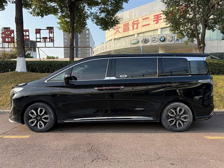 Hongqi HQ9 2023 2023款 2.0T 智联旗享版