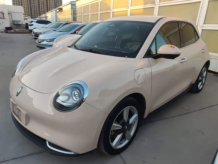 Ora Good Cat (03) 2023 2023款 401km标准续航 豪华型 磷酸铁锂