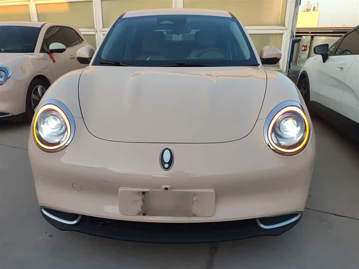 Ora Good Cat (03) 2023 2023款 401km标准续航 豪华型 磷酸铁锂