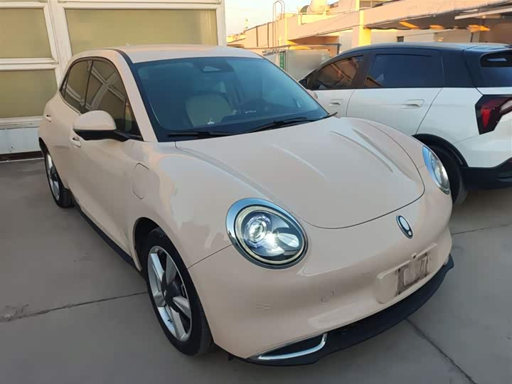 Ora Good Cat (03) 2023 2023款 401km标准续航 豪华型 磷酸铁锂