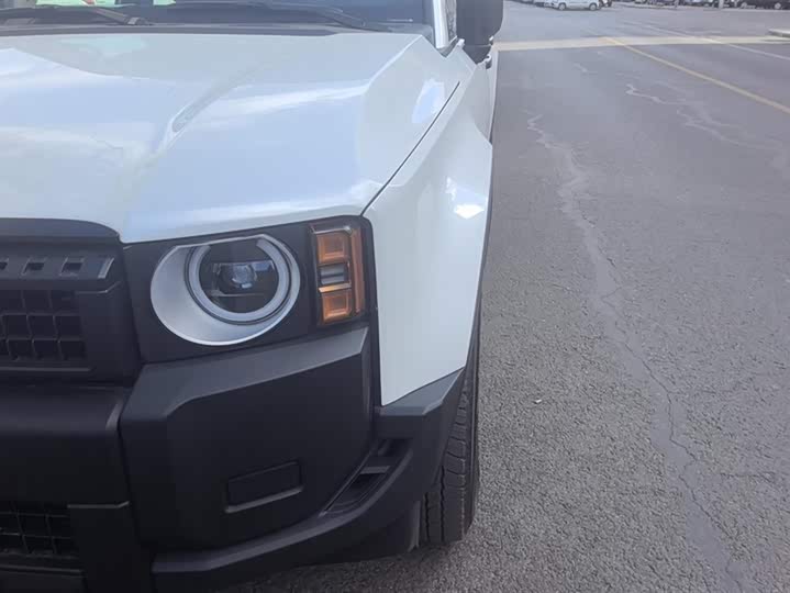 Toyota Prado 2024 2024款 2.4T 穿越BX版 5座