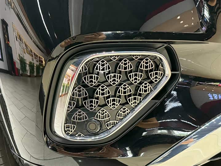 Mercedes-Benz Maybach GLS 2024 2024款 GLS 480 4MATIC