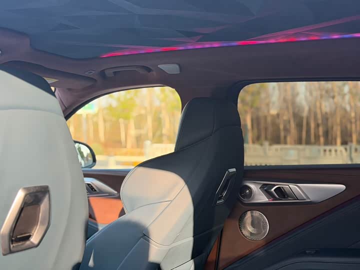 BMW XM 2023 2023款 Label Red限量版