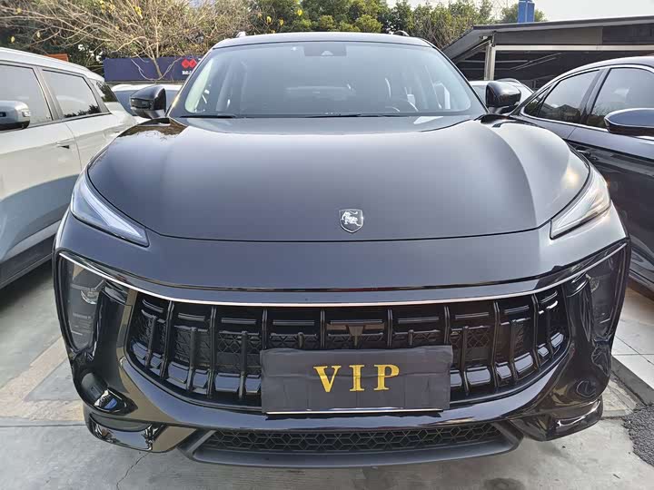 Dongfeng Forthing T5 EVO 2021 2021款 1.5TD DCT铂金版 热浪