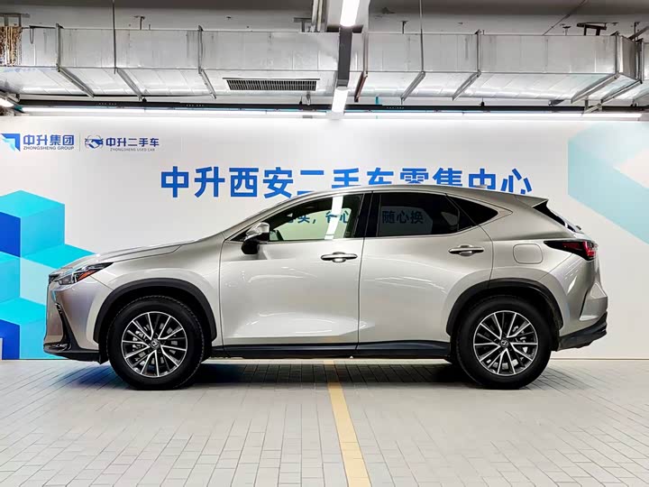 Lexus NX 2023 2023款 260 前驱 创悦版