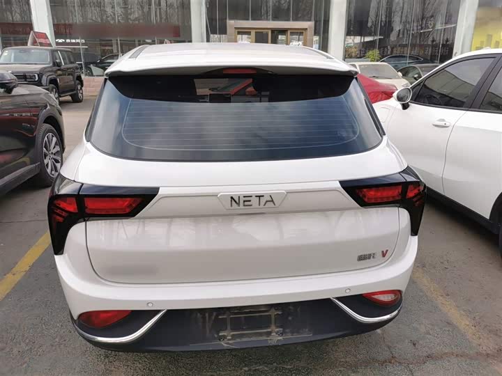 Hozon V 2022 2022款 潮 300 Lite 三元锂