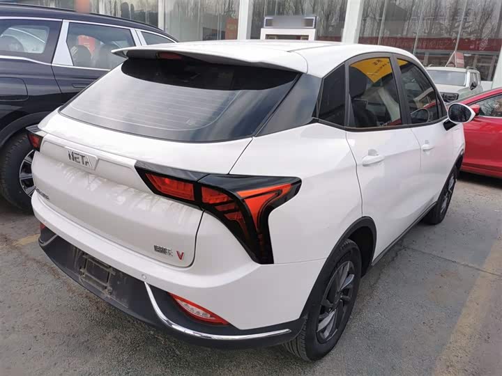 Hozon V 2022 2022款 潮 300 Lite 三元锂