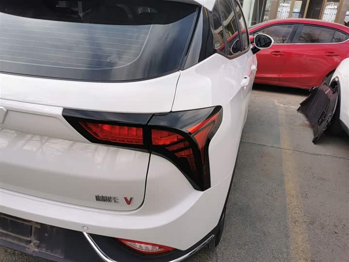 Hozon V 2022 2022款 潮 300 Lite 三元锂