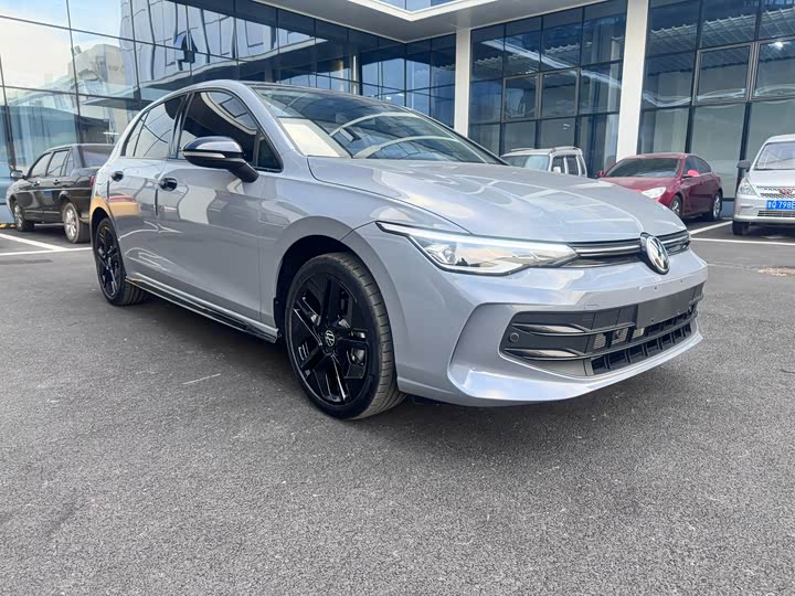 Volkswagen Golf 2025 2025款 改款 300TSI Pro