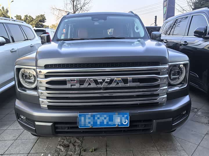 Haval H9 2024 2024款 2.0T 汽油四驱极境版