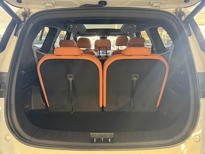 Geely Okavango L 2024 2024款 2.0T DCT旗舰型