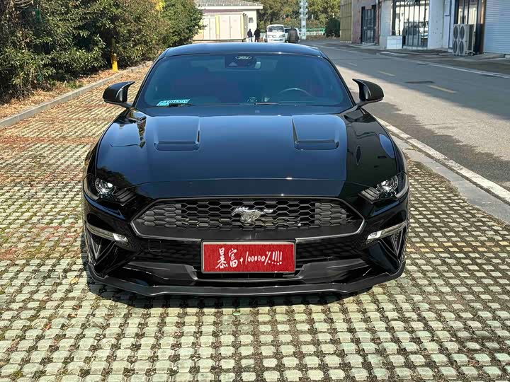 Ford Mustang 2021 2021款 2.3T EcoBoost