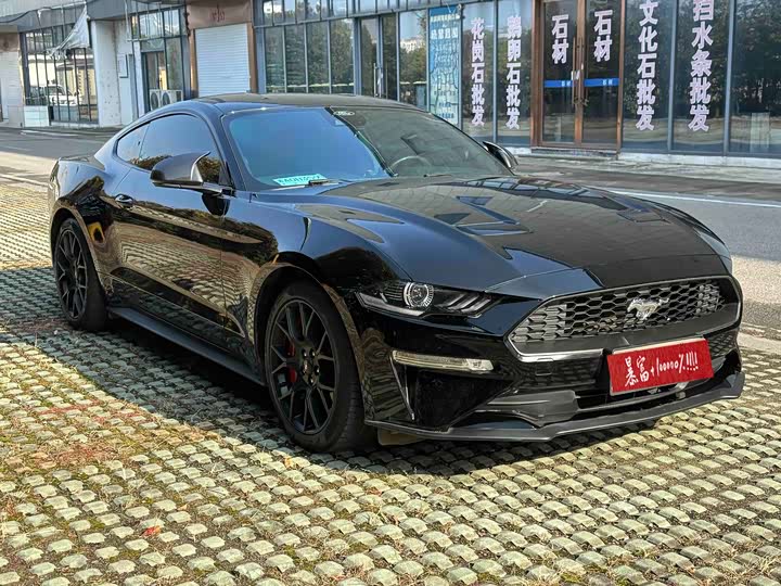 Ford Mustang 2021 2021款 2.3T EcoBoost