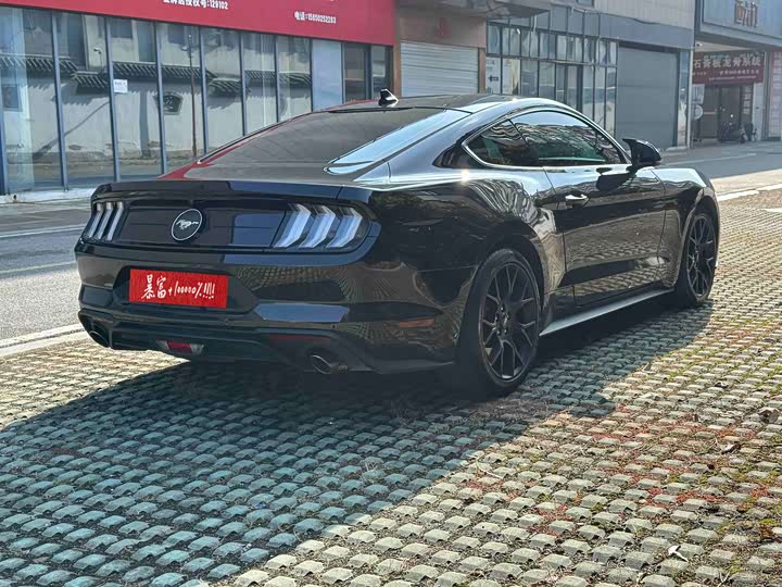 Ford Mustang 2021 2021款 2.3T EcoBoost