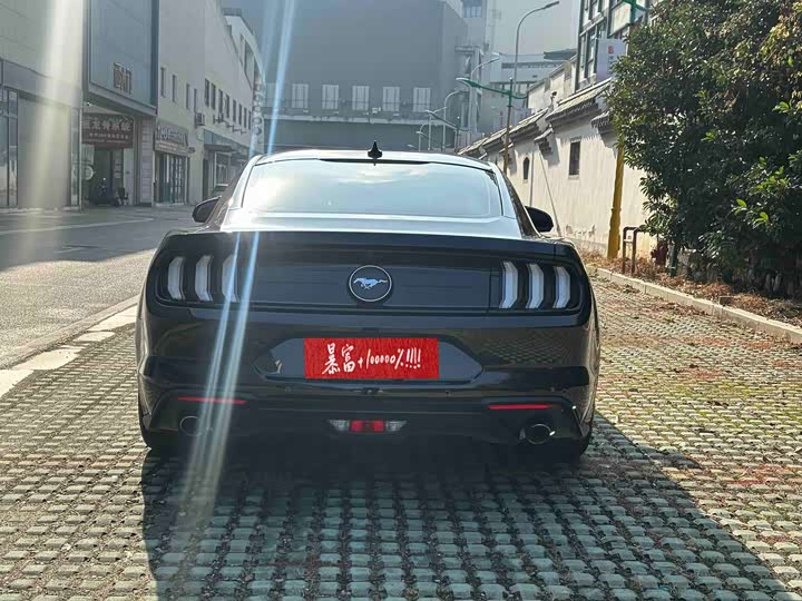Ford Mustang 2021 2021款 2.3T EcoBoost