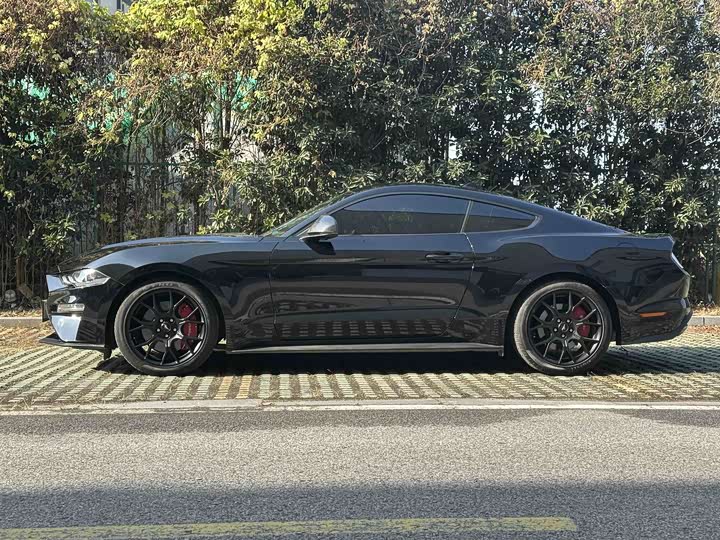 Ford Mustang 2021 2021款 2.3T EcoBoost