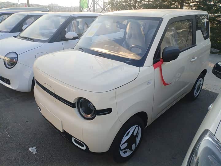 Geely Galaxy Panda Mini 2025 2025款 熊猫mini 210km 元气熊