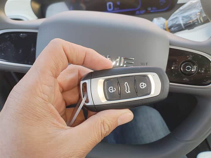 Geely Galaxy Panda Mini 2025 2025款 熊猫mini 210km 元气熊