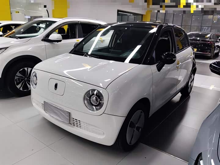 Ora Black Cat 2022 2022款 301km 萌宠版 磷酸铁锂