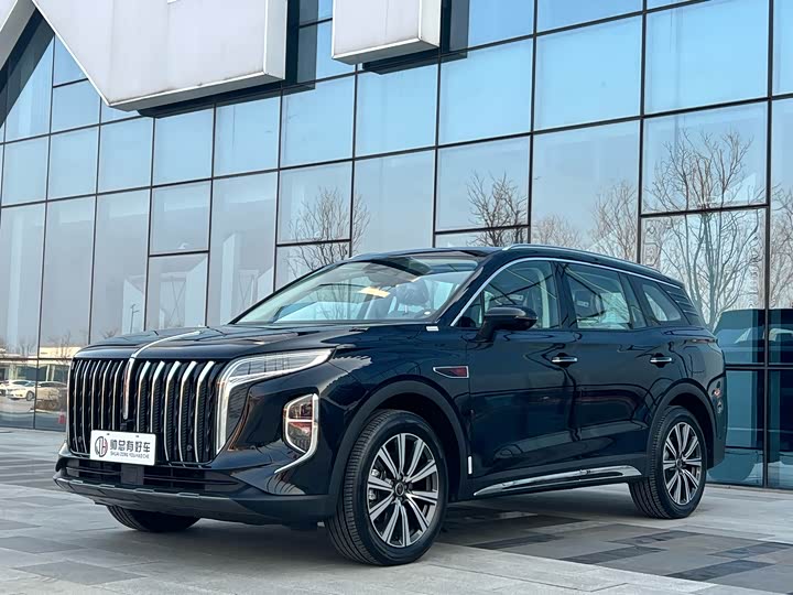 Hongqi HS7 Hybrid 2025 2025款 改款 2.0T PHEV 四驱200万辆纪念版 7座